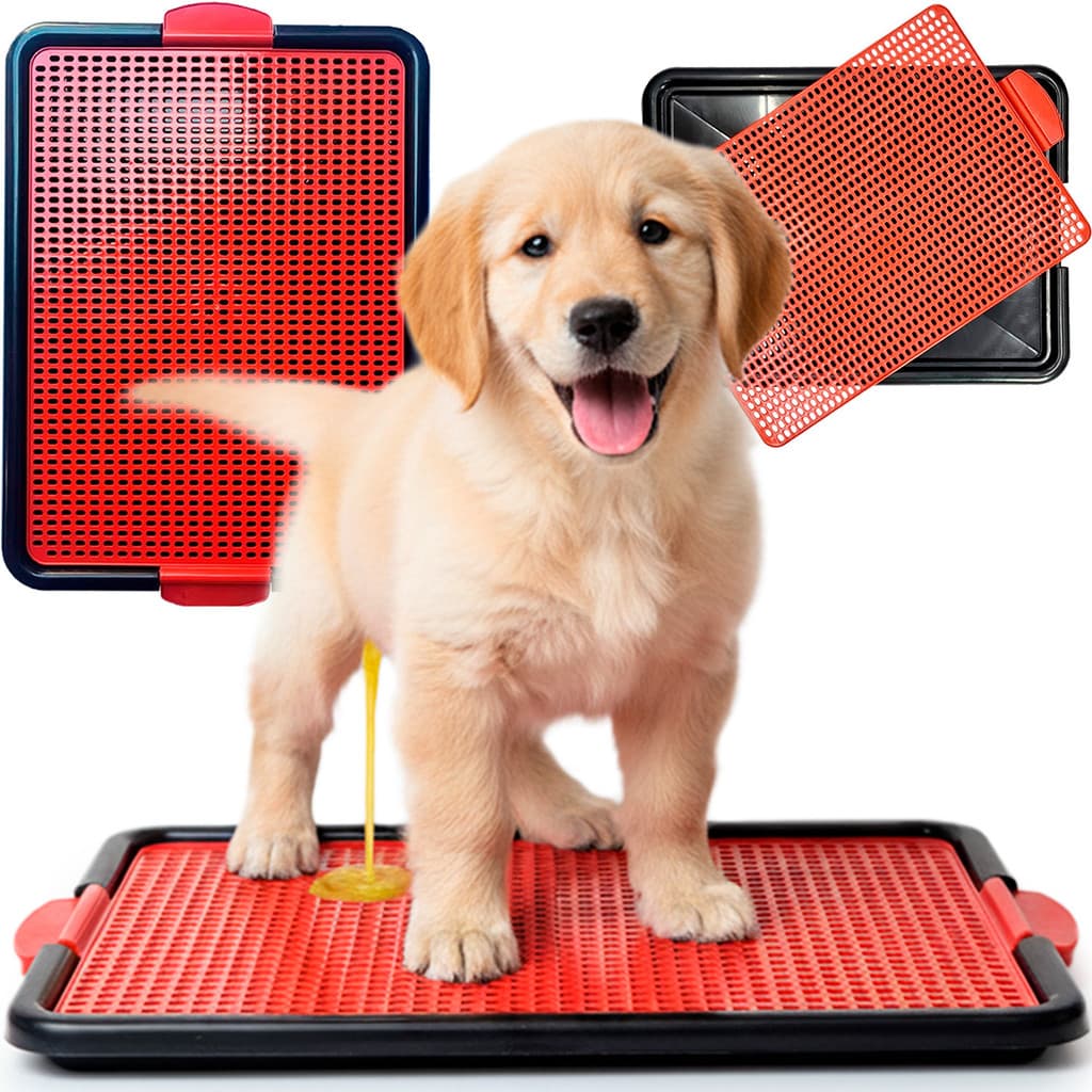 Sanitário Pets Canino Bandeja Xixi Pets com Grade Lavável Grande Premium - Acabe Com O Cheiro De Xixi