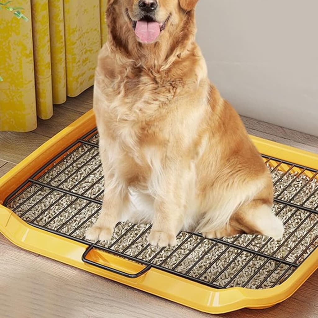 Bandeja Higiênica para Pet Animais de Estimação com Grelha Removível Antiderramamento Fácil Limpeza